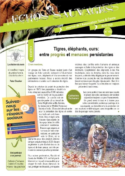 Echos Sauvages 43