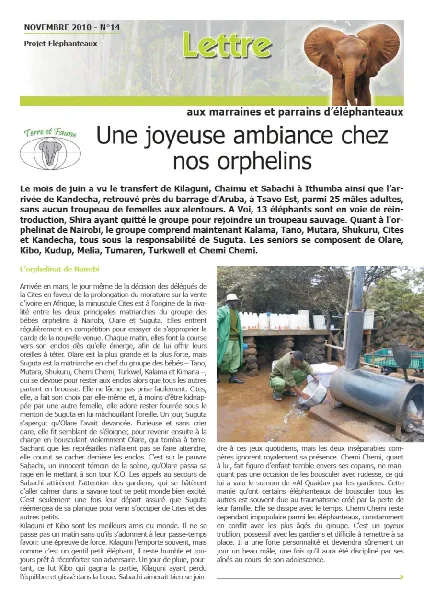 Lettre éléphanteaux 14