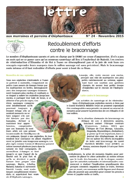 Lettre éléphanteaux 24