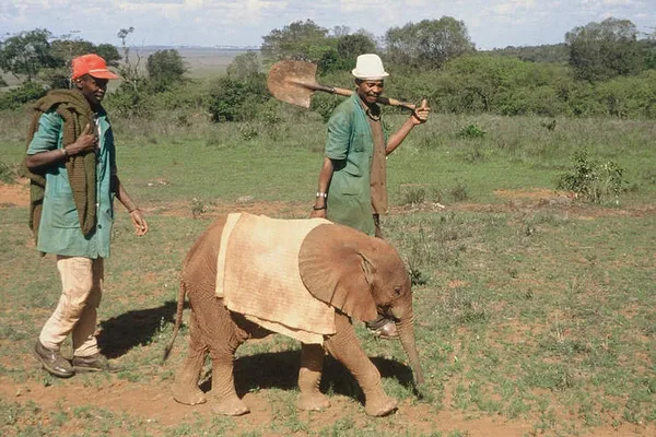 img0605