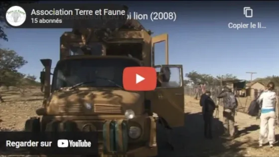 Les ambassadeurs du roi lion sur YouTube